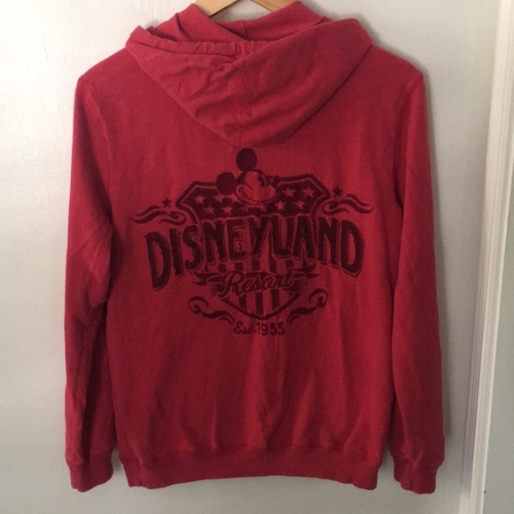 Authentic DisneyParks Hooded Sweatshirt - Picture 3 of 4